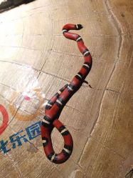 -酷嗒动物文化乐园(cutezoo西溪乐天城店)