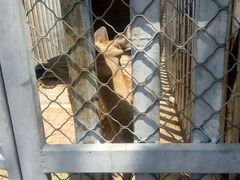 -意大利农场度假村