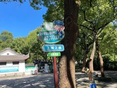 -上海佘山国家森林公园天马山园