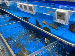 -盒马鲜生(富田新天地店)