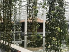 -上海鲜花港