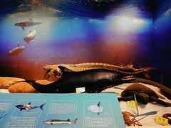 -辽宁大学(崇山校区)