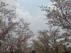 -江南大学(蠡湖校区)