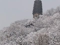 -高尔山公园