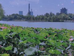 -祥源·阜阳生态乐园