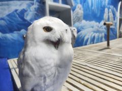 -成都浩海立方海洋公园