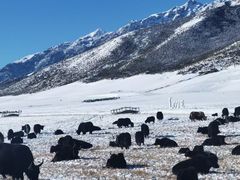 -扁都口生态休闲旅游区