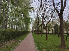 -仁和公园(顺义区)