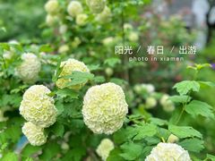 -国家植物园