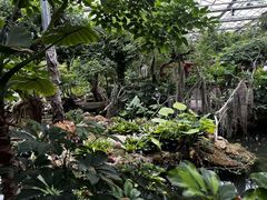 -南通洲际绿博园