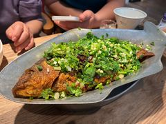 -树厨贵州菜(大十字店)