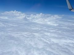 -三亚海棠湾万丽度假酒店