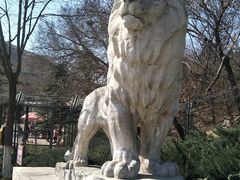 -辛玛王国游乐园