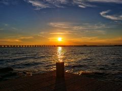 -宝安西湾红树林湿地公园