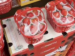 -双福水果批发市场