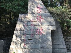 -高尔山公园