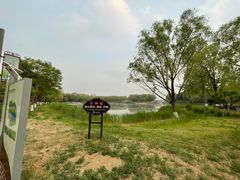 -大兴滨河森林公园