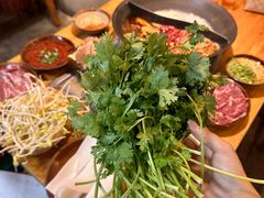 -阳阳老火锅(小南门店)