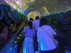 -成都浩海立方海洋公园