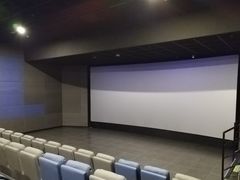 -SFC上影百联影城(大上海4DX店)