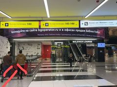 -谢列梅捷沃国际机场