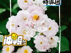 -上海辰山植物园