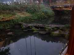 -美食村花园餐厅