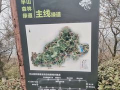 -杭州半山国家森林公园