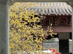 -钱王祠