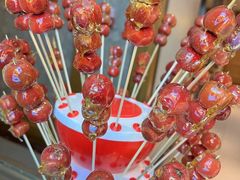 -峨嵋小镇·川菜(正定朗华店)