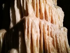 -波斯托伊纳溶洞