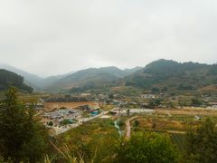 -福建土楼（华安）旅游区•大地土楼群