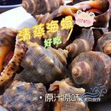 徐闻美食探店攻略｜人均50➕吃到high