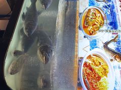 -芙蓉·艳阳餐厅(南口店)