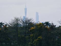 -海珠湖公园