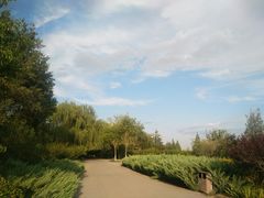 -永定河休闲森林公园