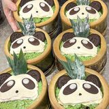 西安的！西安的！熊猫🐼咸奶盖绿豆冰好可爱！