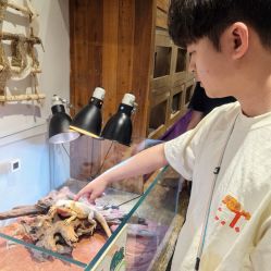 点击看大图 -Zoolung Zoolung动物主题公园(海信广场店)