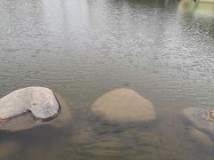 -莲湖公园