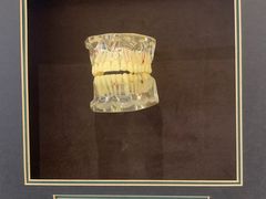 -劲松口腔医院(蓝色港湾院)