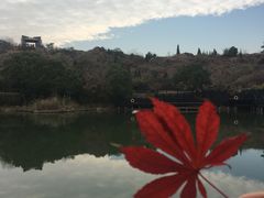 -白马涧龙池景区