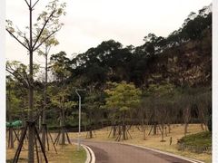 -飞凤山奥体公园