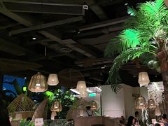 -大头椰·椰子鸡火锅(南宁万象城店)