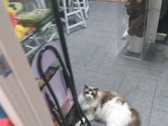 -零纪元VR体验馆·桌游(黄浦店)