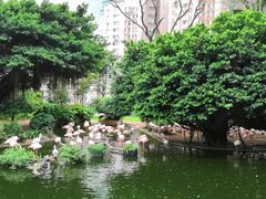 -九龙公园