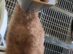 -美迦爱-牙专科·兔科·骨科诊疗中心(北苑店)