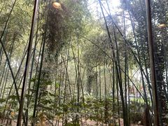 -河南省黄河迎宾馆