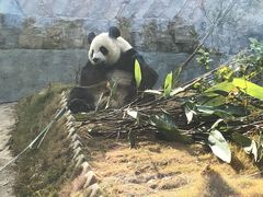 -泉州海丝野生动物世界