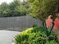 -大伊山景区
