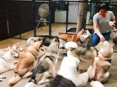 -TrueLove @ Neverland (Husky Cafe)
